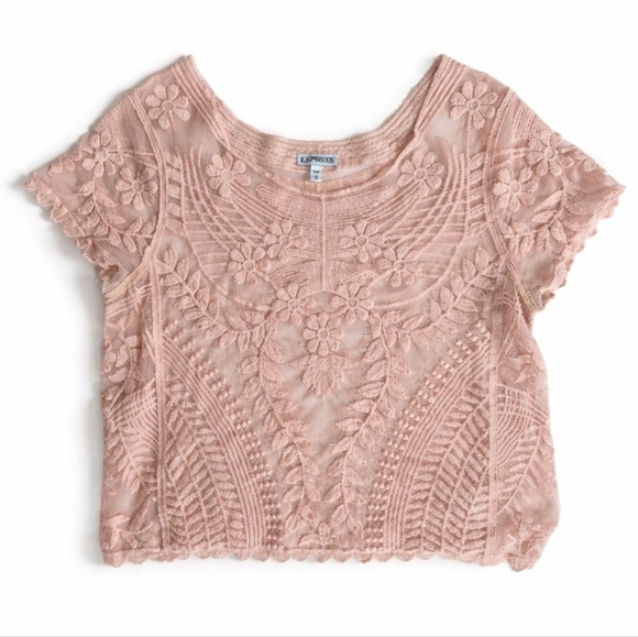 Express Tops - Express Sheer Embroidered Lace Crew Neck Top in soft Pink sz M
